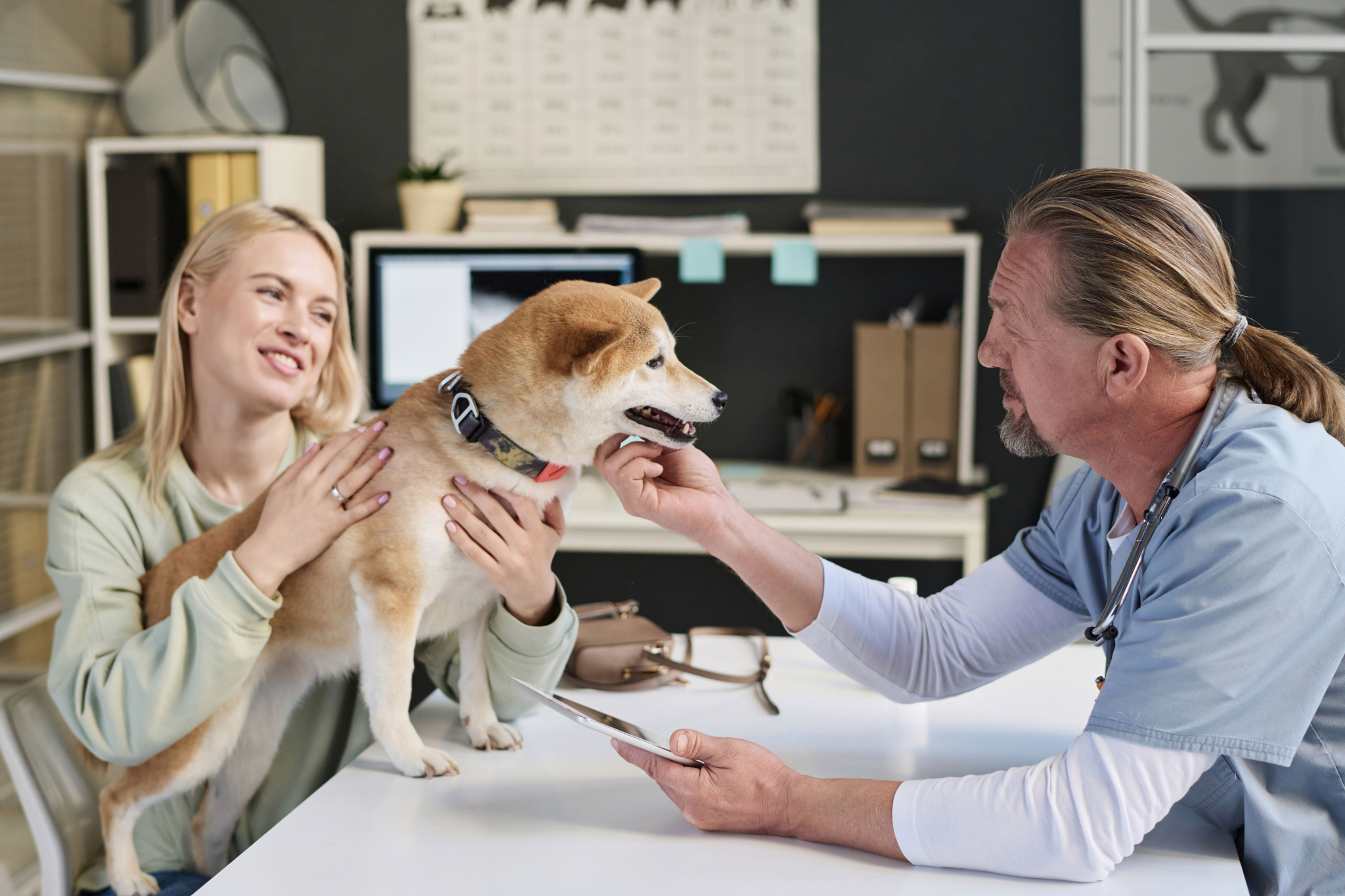 Valores especiais para veterinários parceiros